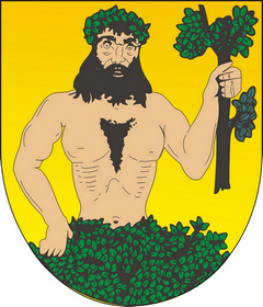 Logo Město Město Albrechtice